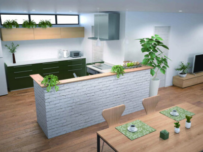 カナリエPLAN10 カナリエPLAN10