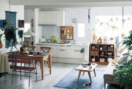 ラクシーナPLAN04 ラクシーナPLAN04