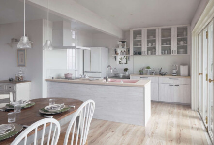 ラクシーナPLAN06 ラクシーナPLAN06