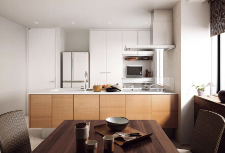 ラクシーナPLAN19 ラクシーナPLAN19